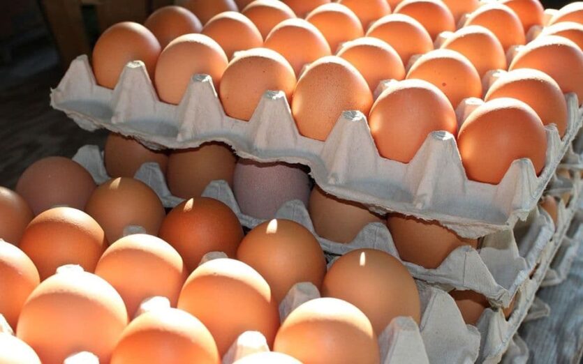 Jaja u EU u jednoj godini poskupila 30 odsto