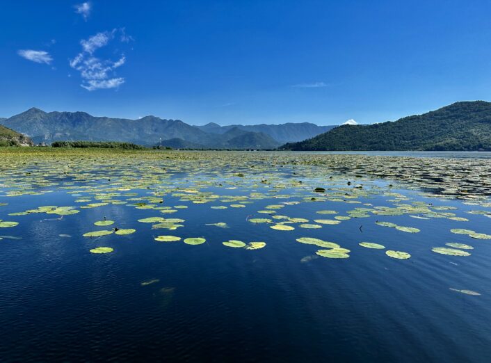 Preko 66 hiljada posjetilaca uživalo u ljepotama NP Skadarsko jezero