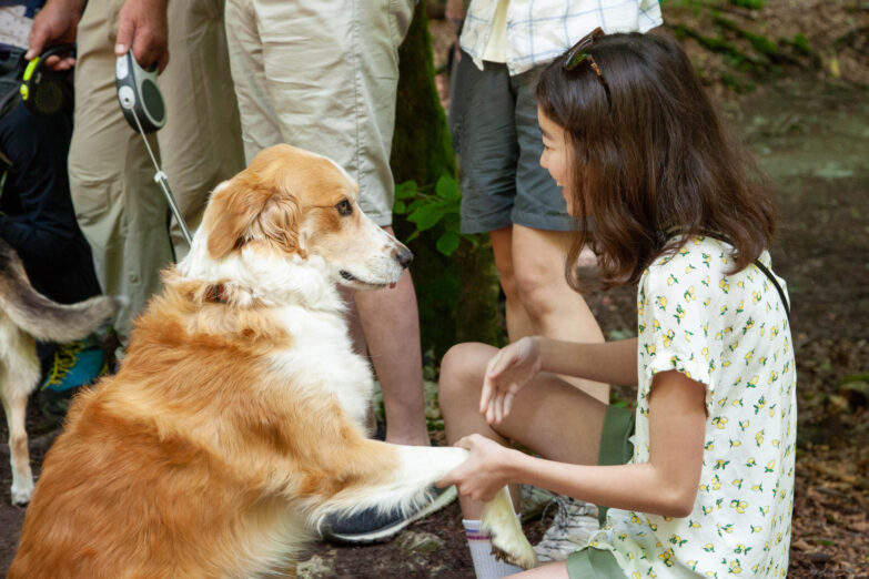 Ambasadori u posjeti NP Biogradska gora