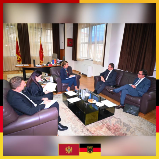 Kroz programe i angažovanje eksperata unaprijediti saradnju sa Njemačkom