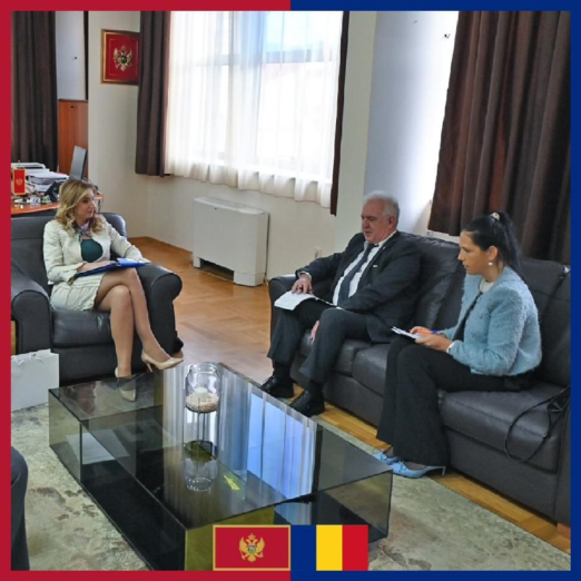 Naredne godine besplatni kursevi rumunskog jezika