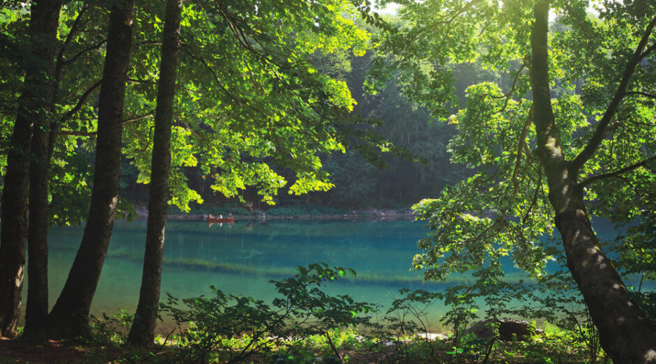 Biogradska gora od danas zatvorena za posjete