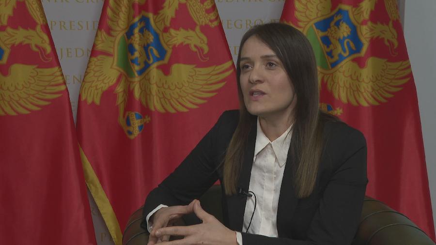 Papović:Pregovore sa EU možemo završiti do kraja 2026