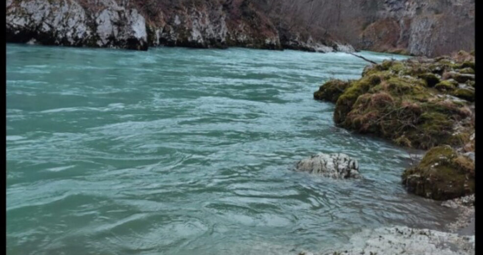 Anđelka Magovčević, učenica VIII razreda OŠ “Kekec” iz Sutomora napisala je najbolji literarni rad 