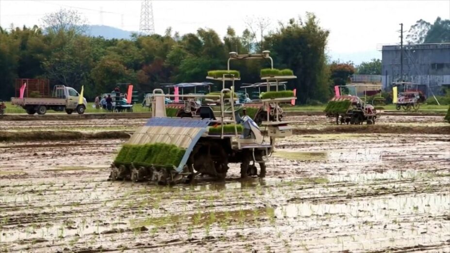 Poljoprivredni roboti imaju obećavajuću budućnost u Kini