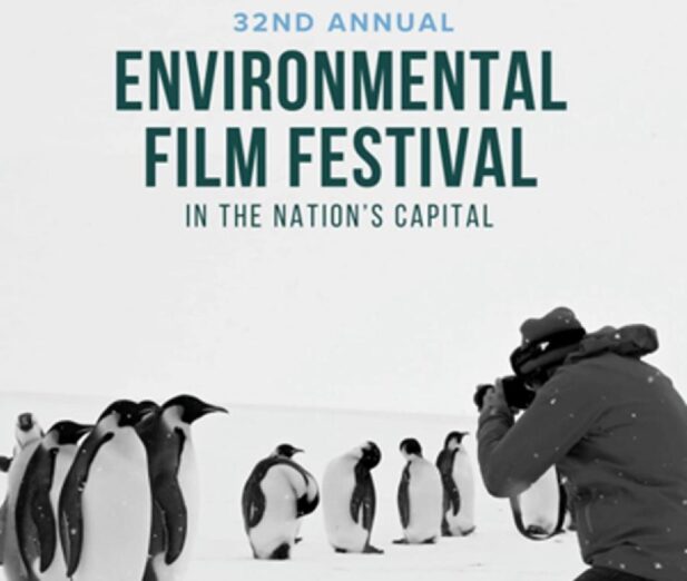 Ekološki filmovi sa GMIFF-a na renomiranom festivalu u SAD