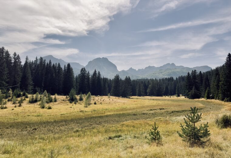 Dan planete zemlje; Najveći neprijatelj planeti čovjek