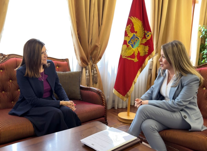 EU prepoznaje aktivnosti CBCG za očuvanje finansijske stabilnosti