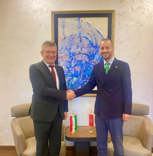 Mađarska zainteresovana za valorizaciju Velike plaže