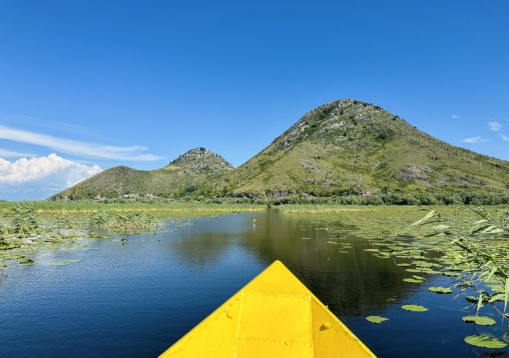 U Virpazaru haotično- turisti istraumirani, krstarenja  pod velom “ličnih potreba”