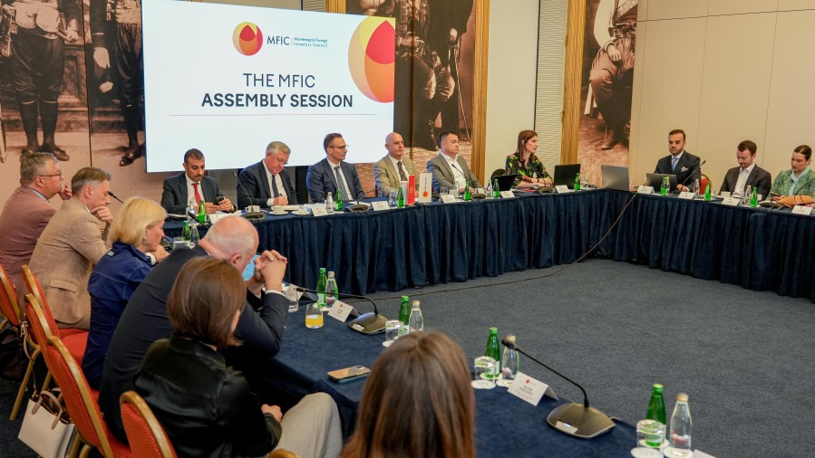 „Bijela knjiga” će izlaziti u novembru