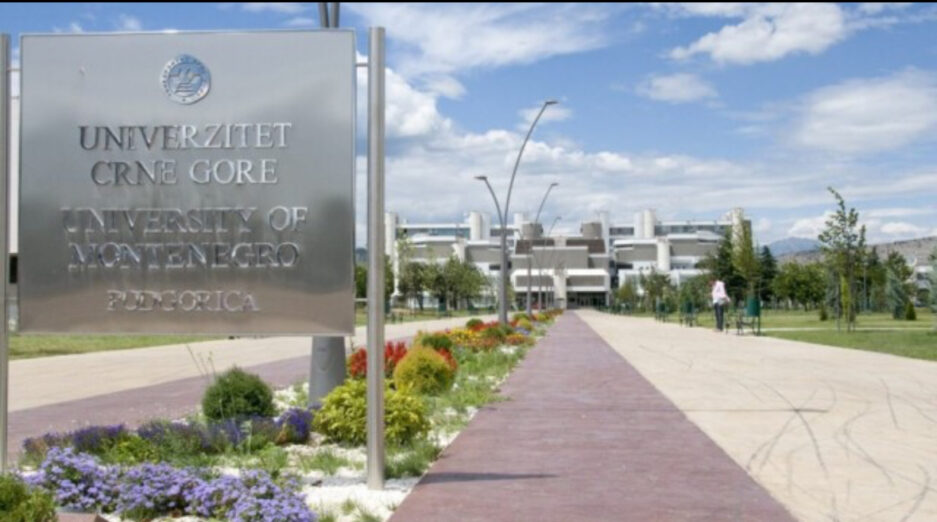 Studenti smatraju da trenutni sistem studiranja 3+2+3 nije kompatibilan sa tržištem rada