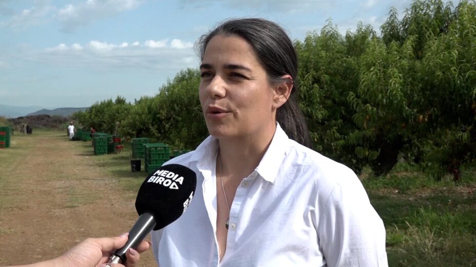 Peruničić: Ostvareno 30 procenata ovogodišnjeg plana berbe breskve, cilj je opskrbiti domaće tržište dobrom robom