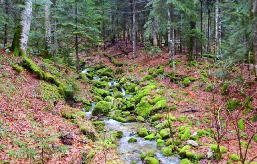 Besplatan ulaz u nacionalne parkove povodom Dana državnosti