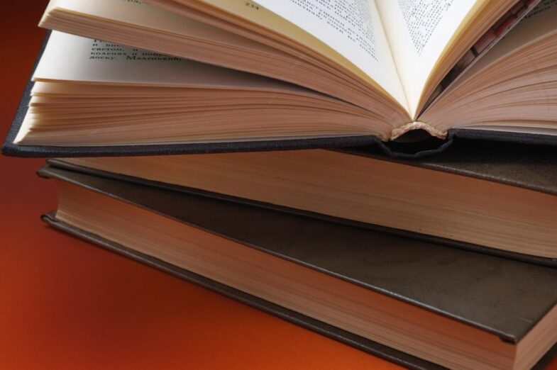 “Zakonima urediti pitanja od značaja za rad parlamenta i izvršne vlasti”