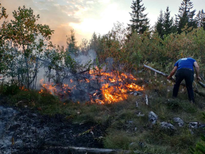 Požar u Prošćenskim planinama u Mojkovcu pod kontrolom, gori i u NP Biogradska gora