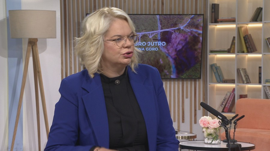 Vukićević: U željeznički prevoz nije ulagano više od 30 godina, Montekargu otpisana kamata