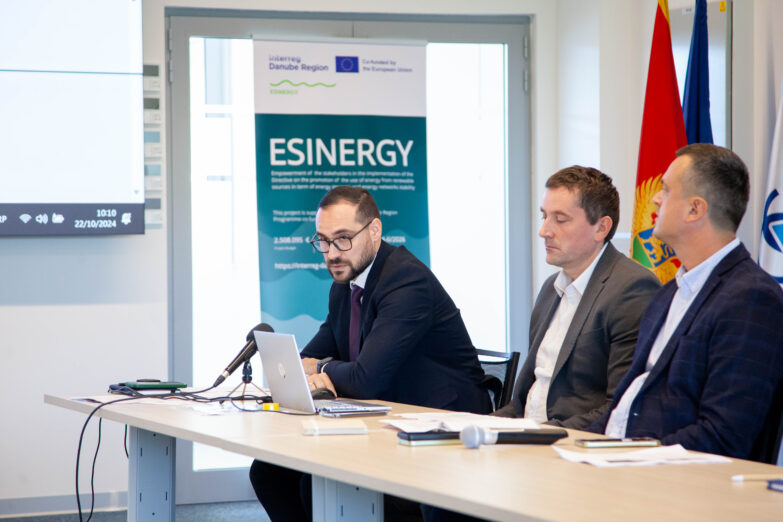 ESINERGY – Upravljanje neravnotežom između proizvedene snage i vršnog opterećenja u električnoj mreži