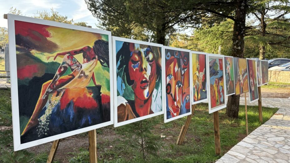 Komani: U dvorištu OŠ “Boško Radulović” otvorena izložba slika Ive Stanišić
