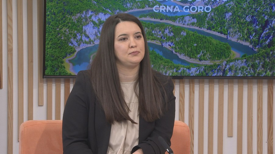 Đođić: Povećati broj inspektora iz sektora zaštite na radu