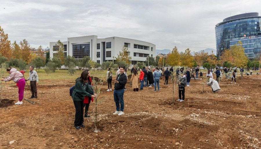 Šezdeset studenata zasadilo svoje stablo masline