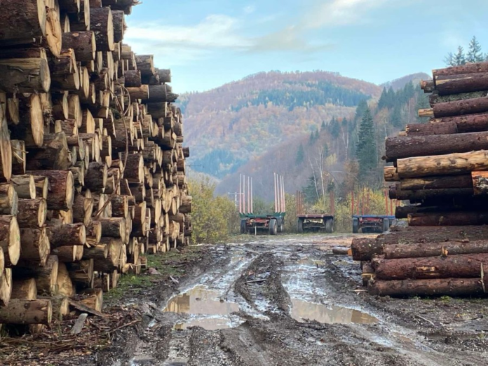 Bogati šumama, a patos i lamperiju uvozimo iz Austrije