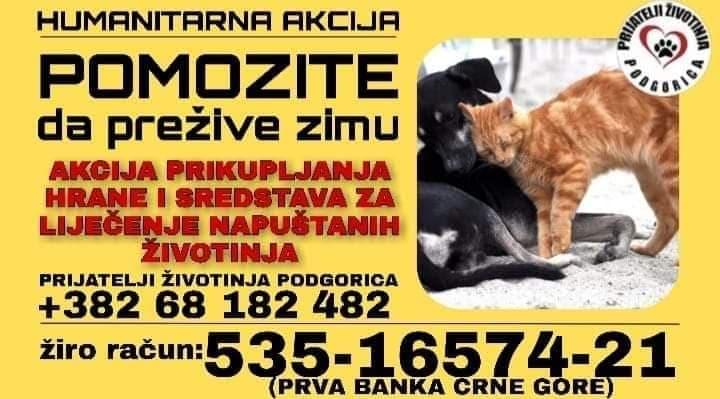 Nastavljena akcija za pomoć napuštenim životinjama