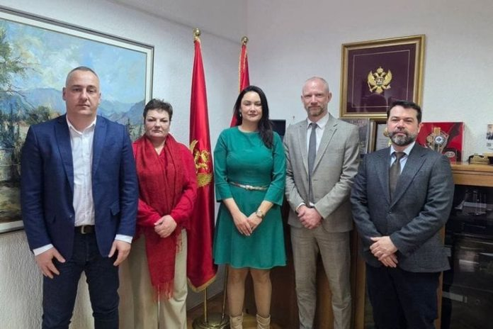 Uprava carina dogovorila modele saradnje sa Francuskom