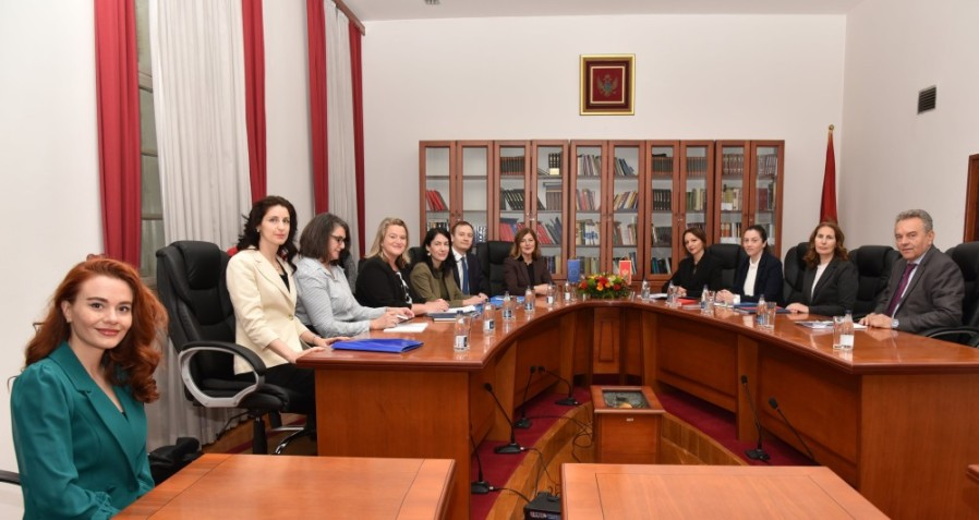 Nema novih predmeta zbog dužine trajanja postupka pred Ustavnim sudom