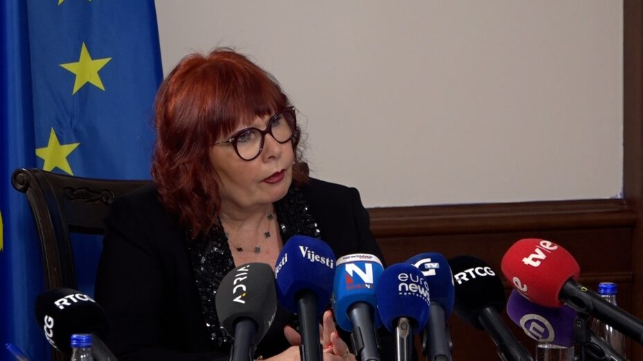 Pavličić: Stopa efikasnosti od 108 nije zabilježena u radu Vrhovnog suda decenijama