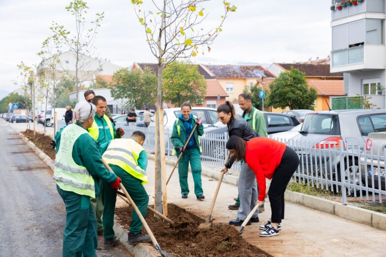 Wiener Städtische životno osiguranje oplemenjuje Podgoricu sadnjom novog drvoreda,Stari Aerodrom dobio 18 stabala lalinog drveta